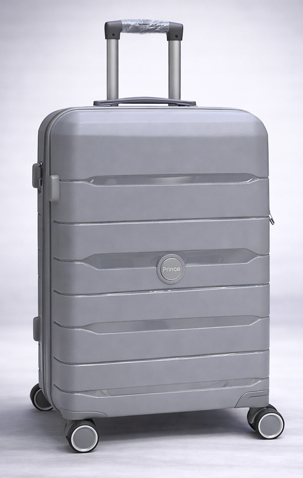 PRINCE-1 MOYENNE 23KG GRIS CLAIRE