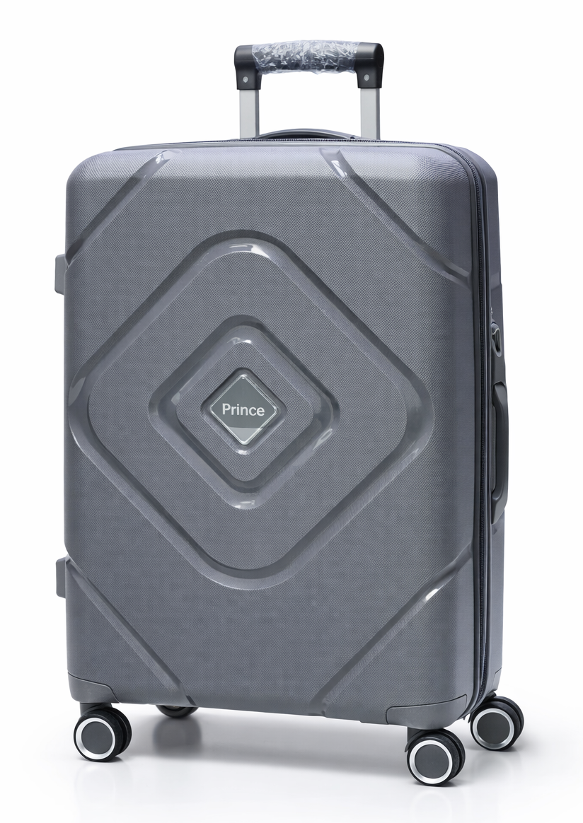 PRINCE-2 MOYENNE 23KG GRIS SURIS