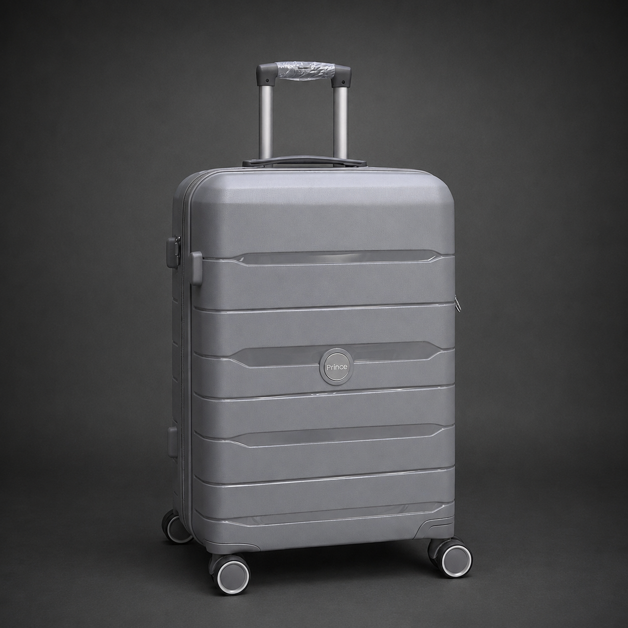 PRINCE-1 MOYENNE 23KG GRIS CLAIRE