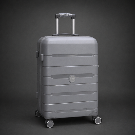 PRINCE-1 MOYENNE 23KG GRIS CLAIRE